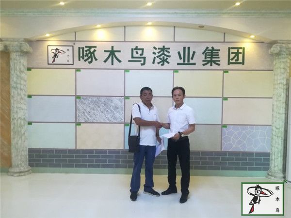 啄木鸟漆业集团 玉石漆 代理商  加盟商