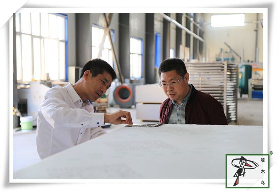 啄木鸟漆业集团 玉石漆 代理商  加盟商