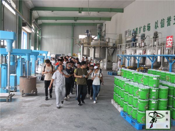  啄木鸟漆业集团 玉石漆 代理商  加盟商