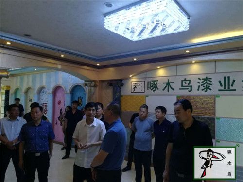  啄木鸟漆业集团 玉石漆 代理商  加盟商