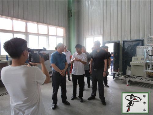  啄木鸟漆业集团 玉石漆 代理商  加盟商