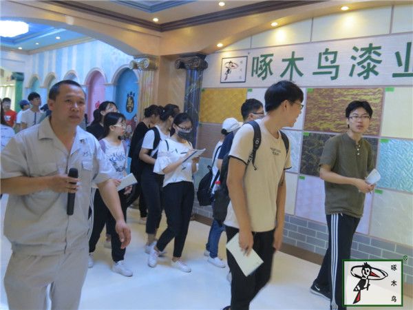  啄木鸟漆业集团 玉石漆 代理商  加盟商
