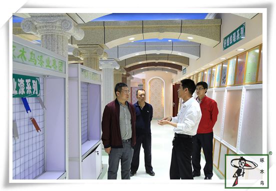 啄木鸟漆业集团 玉石漆 代理商  加盟商