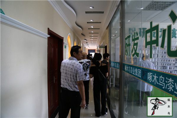 啄木鸟漆业集团 玉石漆 代理商  加盟商