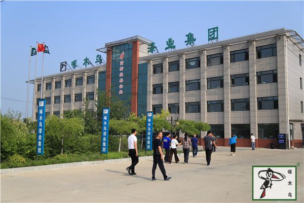 啄木鸟漆业集团 玉石漆 代理商  加盟商