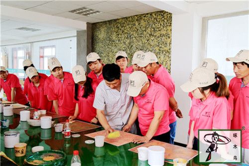  啄木鸟漆业集团 玉石漆 代理商  加盟商