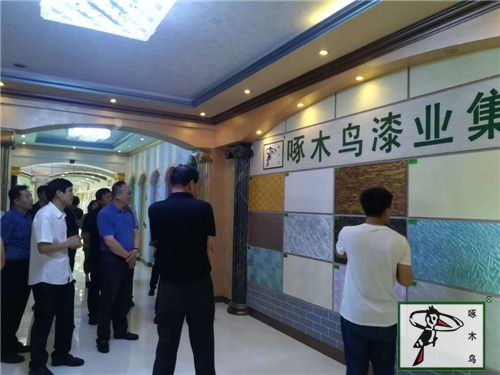  啄木鸟漆业集团 玉石漆 代理商  加盟商