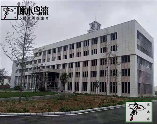  啄木鸟漆业集团 玉石漆 代理商  加盟商