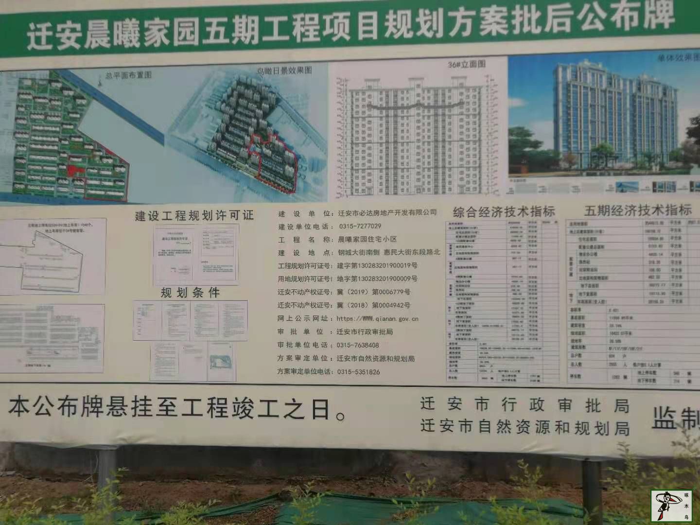  啄木鸟漆业集团 玉石漆 代理商  加盟商