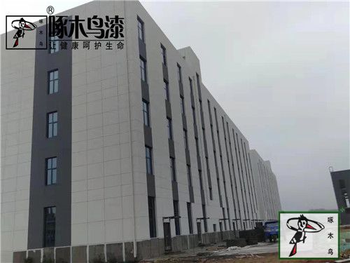  啄木鸟漆业集团 玉石漆 代理商  加盟商
