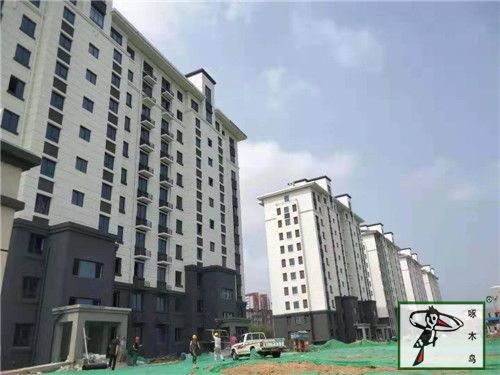  啄木鸟漆业集团 玉石漆 代理商  加盟商