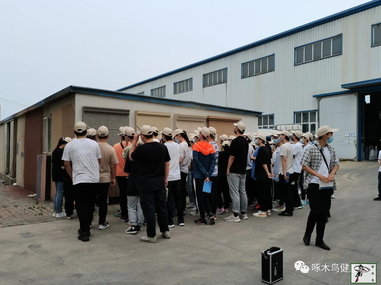  啄木鸟漆业集团 玉石漆 代理商  加盟商