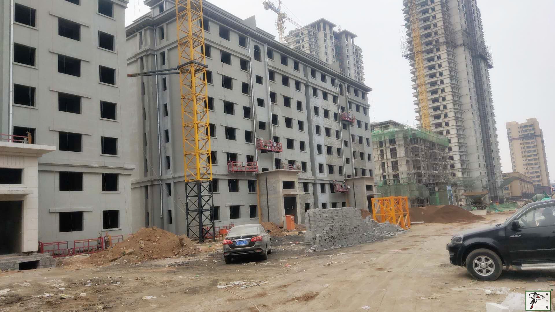啄木鸟漆业集团 玉石漆 代理商  加盟商