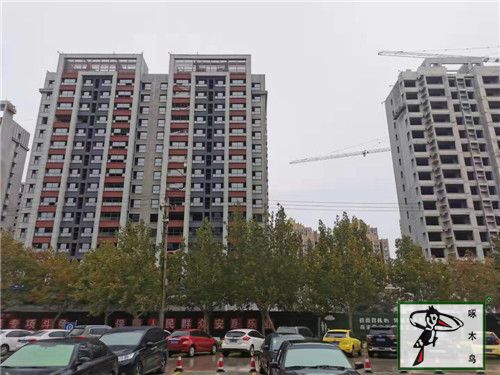  啄木鸟漆业集团 玉石漆 代理商  加盟商