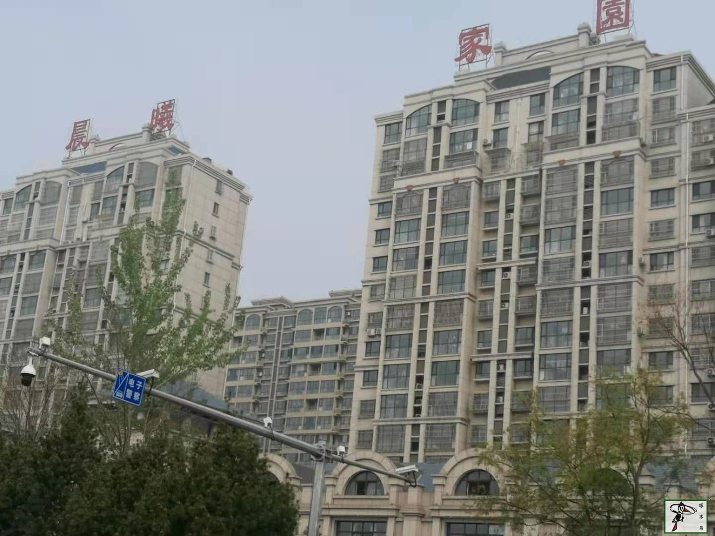  啄木鸟漆业集团 玉石漆 代理商  加盟商