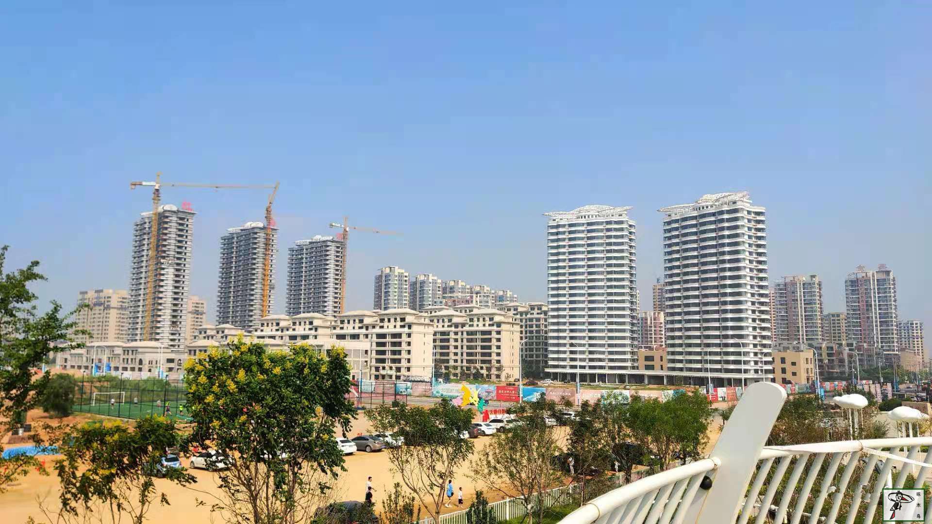  啄木鸟漆业集团 玉石漆 代理商  加盟商