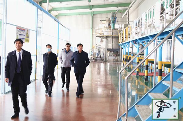啄木鸟漆业集团 水包水 水包砂 保涂料  涂料品牌