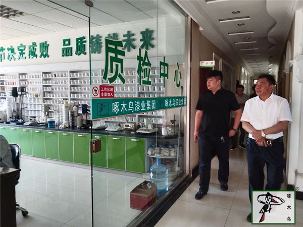 啄木鸟漆业集团 水包水 水包砂 保涂料  涂料品牌