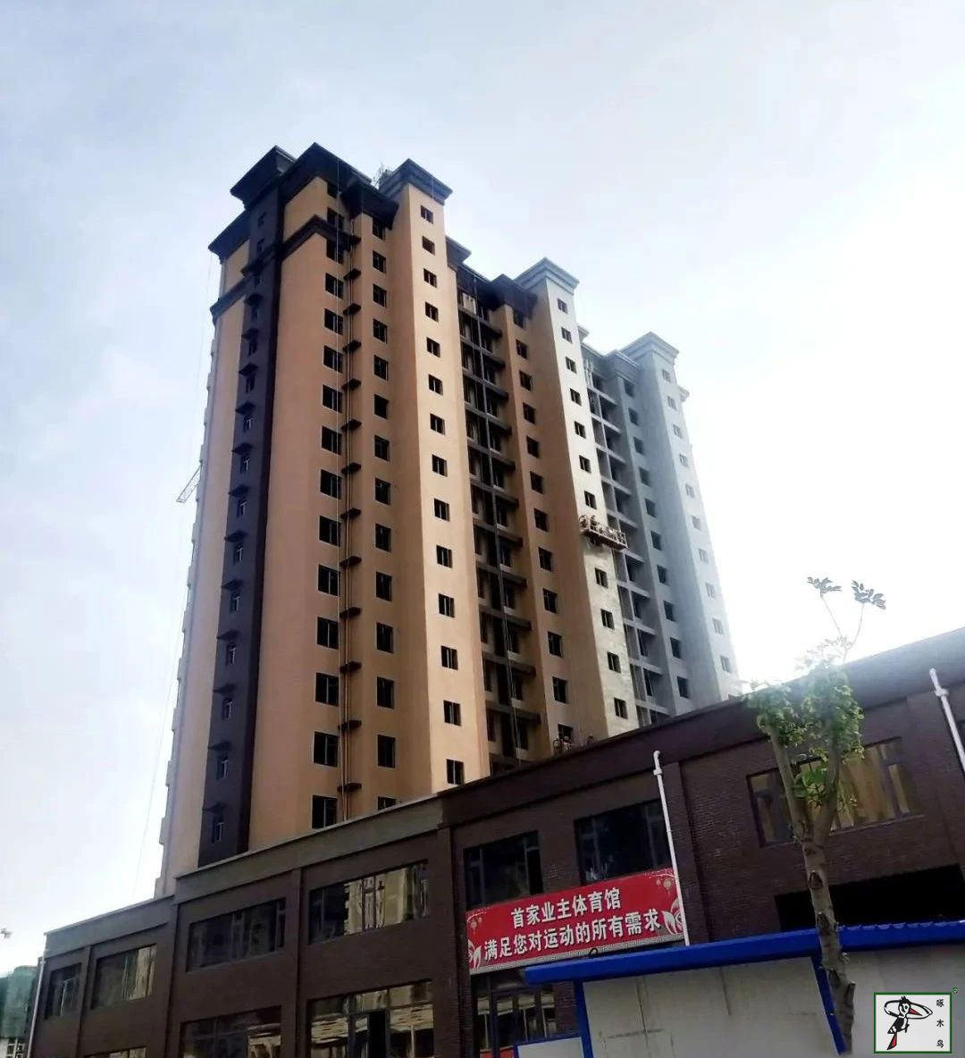 啄木鸟漆业集团 水包水 水包砂 环保涂料  涂料品牌