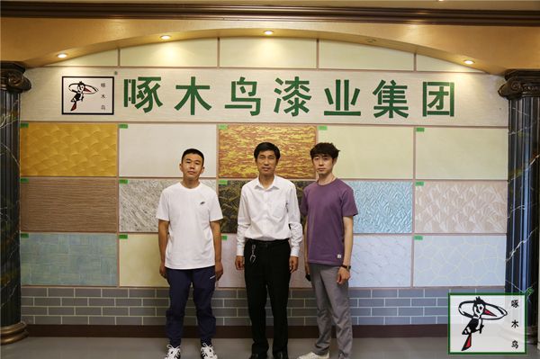 啄木鸟漆业集团 水包水 水包砂 保涂料  涂料品牌