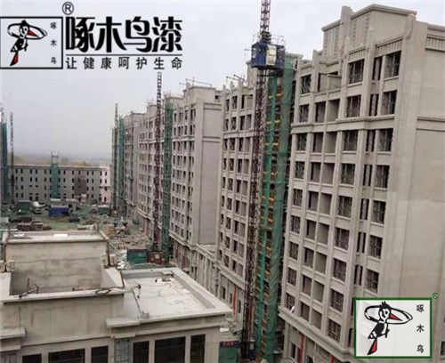 啄木鸟漆业集团 水包水 水包砂 环保涂料  涂料品牌