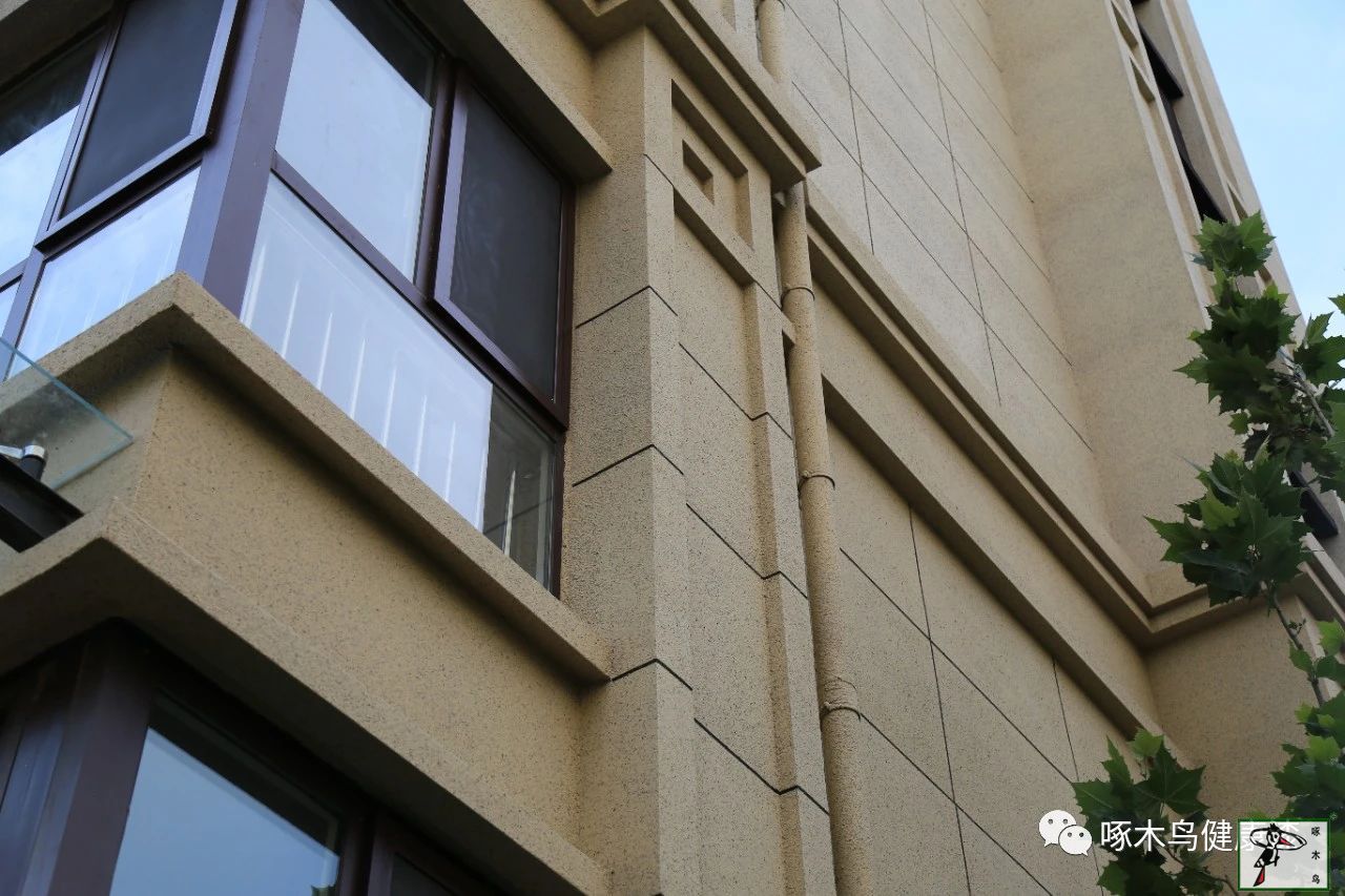 啄木鸟漆业集团 水包水 水包砂 环保涂料  涂料品牌