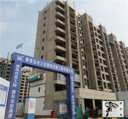 啄木鸟漆业集团 水包水 水包砂 环保涂料  涂料品牌
