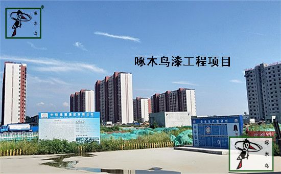 怀柔新城08街区安置房项目是由北京国奥集团有限公司开发，建设单位为中铁城建集团有限公司。工程地址：北京市怀柔区 东至安平东路，西至安平路，南至规划怀耿北路，北至前进路，该项目建筑面积100,004平米。怀柔新城08街区安置房一期工程项目全部使用啄木鸟浮雕弹涂自洁弹性外墙漆，现已竣工，这是啄木鸟漆在怀柔新城打造的形象工程。 