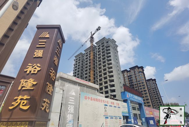 啄木鸟漆业集团 水包水 水包砂 保涂料  涂料品牌