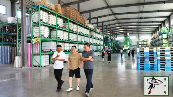 啄木鸟漆业集团 水包水 水包砂 保涂料  涂料品牌