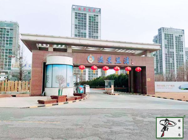 啄木鸟漆业集团 水包水 水包砂 保涂料  涂料品牌