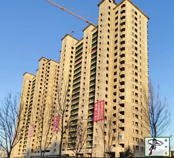 啄木鸟漆业集团 水包水 水包砂  
