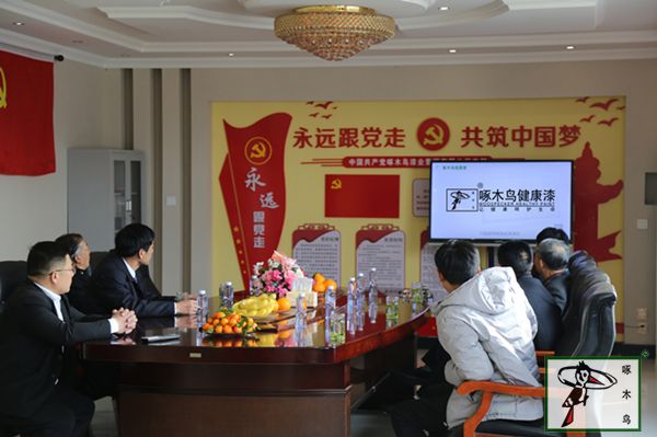 啄木鸟漆业集团 水包水 水包砂 保涂料  涂料品牌