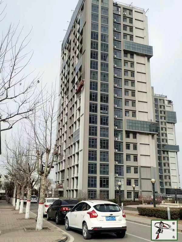 啄木鸟漆业集团 水包水 水包砂 保涂料  涂料品牌