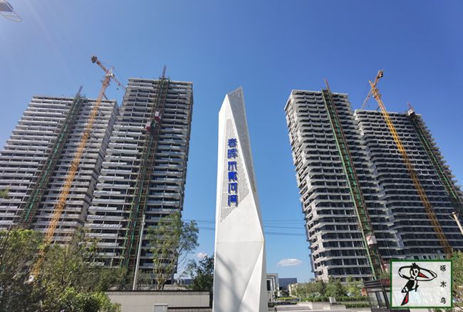 啄木鸟漆业集团 水包水 水包砂 保涂料  涂料品牌   真石漆 质感漆