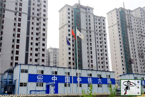 啄木鸟漆业集团 水包水 水包砂 环保涂料  涂料品牌