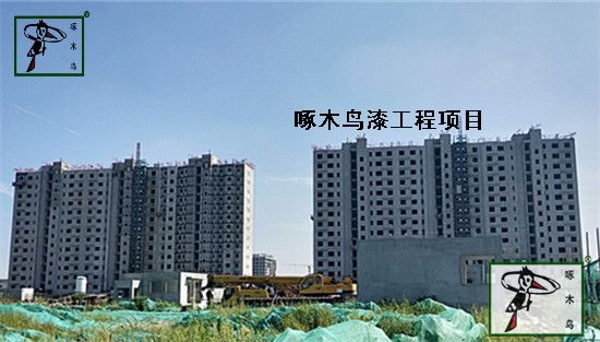 怀柔新城08街区安置房项目是由北京国奥集团有限公司开发，建设单位为中铁城建集团有限公司。工程地址：北京市怀柔区 东至安平东路，西至安平路，南至规划怀耿北路，北至前进路，该项目建筑面积100,004平米。怀柔新城08街区安置房一期工程项目全部使用啄木鸟浮雕弹涂自洁弹性外墙漆，现已竣工，这是啄木鸟漆在怀柔新城打造的形象工程。 