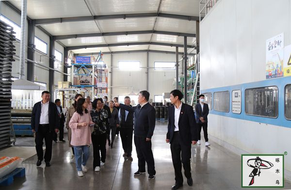 啄木鸟漆业集团 水包水 水包砂 保涂料  涂料品牌