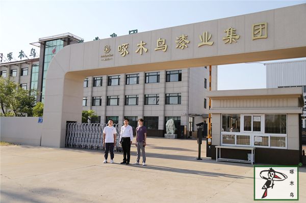 啄木鸟漆业集团 水包水 水包砂 保涂料  涂料品牌