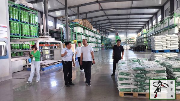 啄木鸟漆业集团 水包水 水包砂 保涂料  涂料品牌