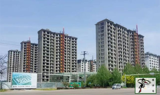 啄木鸟漆业集团 水包水 水包砂 保涂料  涂料品牌