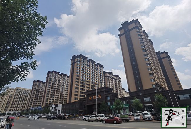啄木鸟漆业集团 水包水 水包砂 保涂料  涂料品牌