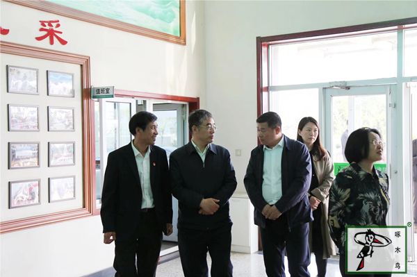 啄木鸟漆业集团 水包水 水包砂 保涂料  涂料品牌
