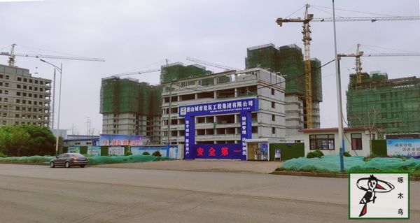 啄木鸟漆业集团 水包水 水包砂 保涂料  涂料品牌