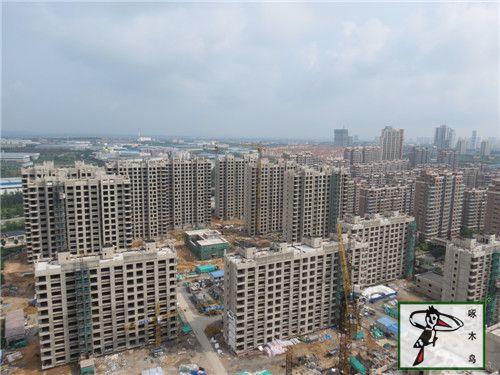 啄木鸟漆业集团 水包水 水包砂 环保涂料  涂料品牌