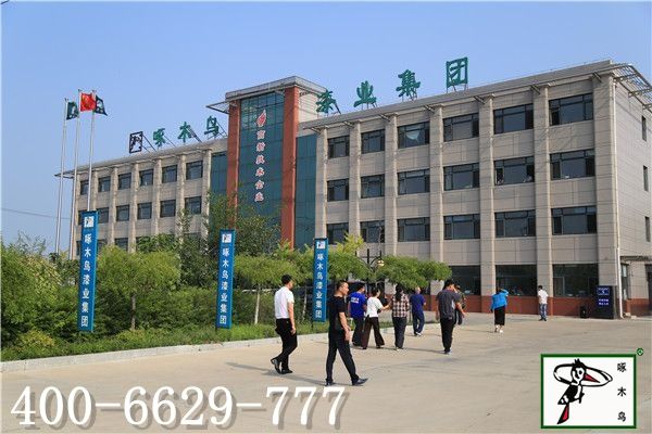 啄木鸟漆业集团 水包水 水包砂 保涂料  涂料品牌