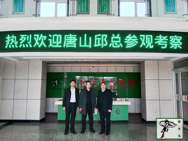 啄木鸟漆业集团 水包水 水包砂 保涂料  涂料品牌