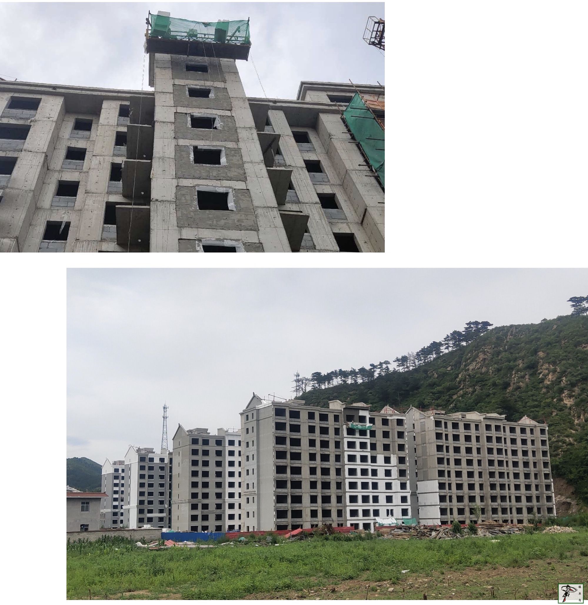啄木鸟漆业集团 水包水 水包砂 环保涂料