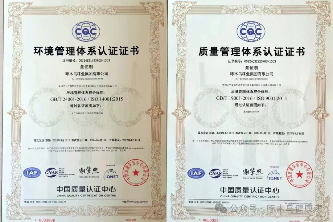 啄木鸟漆业集团 樾伴弯  弹性外墙漆