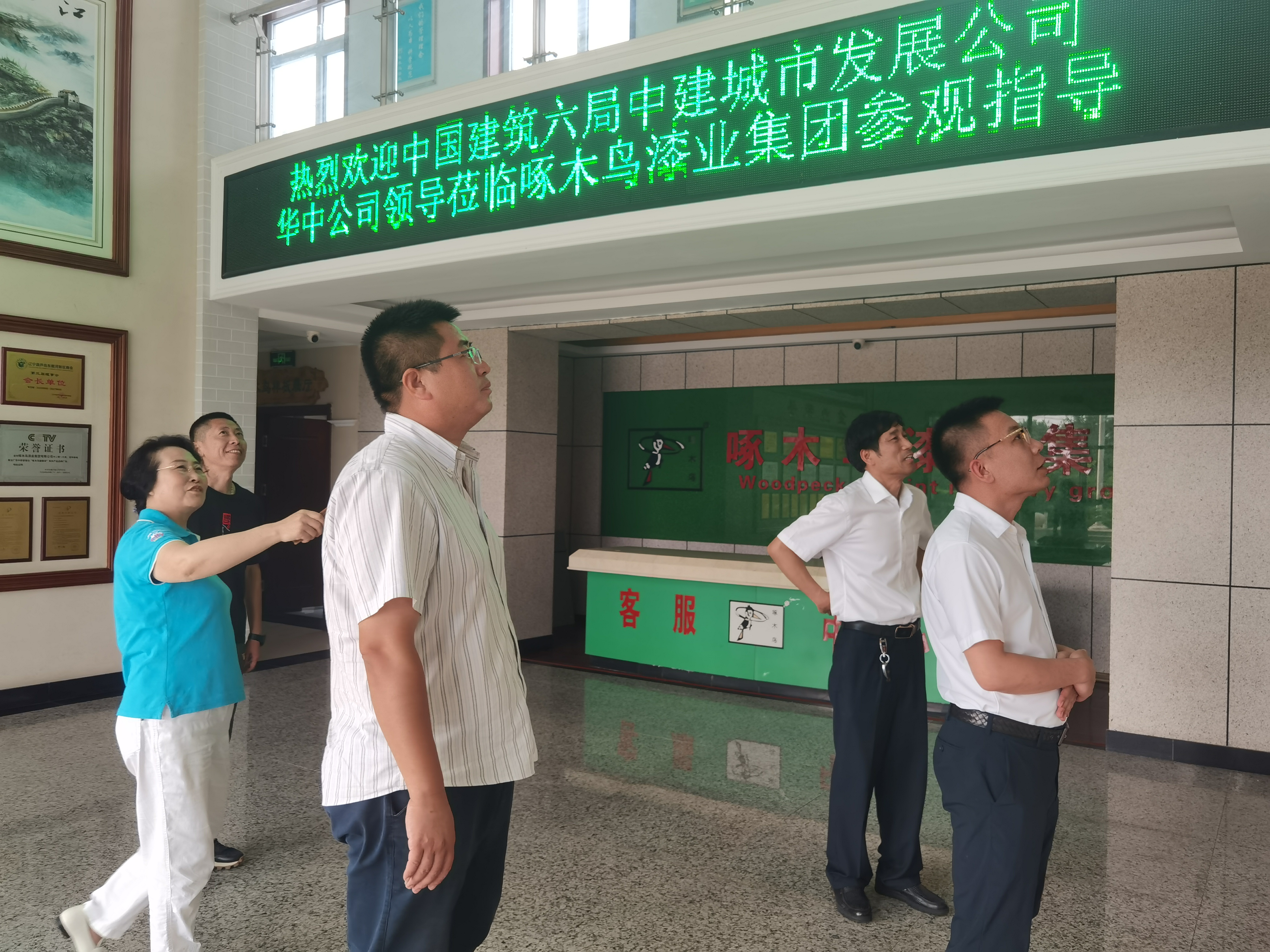 啄木鸟漆业 软瓷 